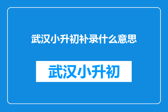武汉小升初补录什么意思