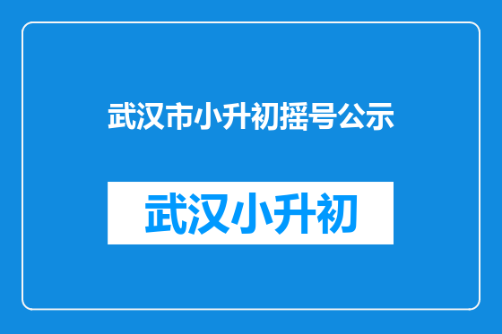 武汉市小升初摇号公示